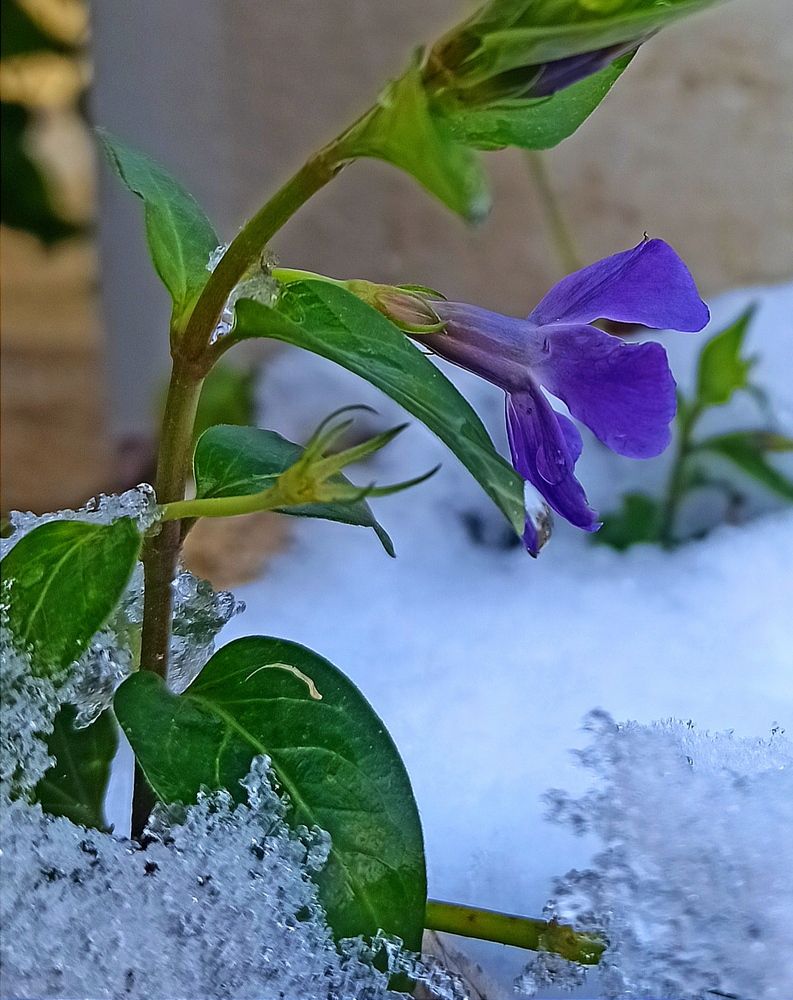 Photograph by Ольга Тихонова