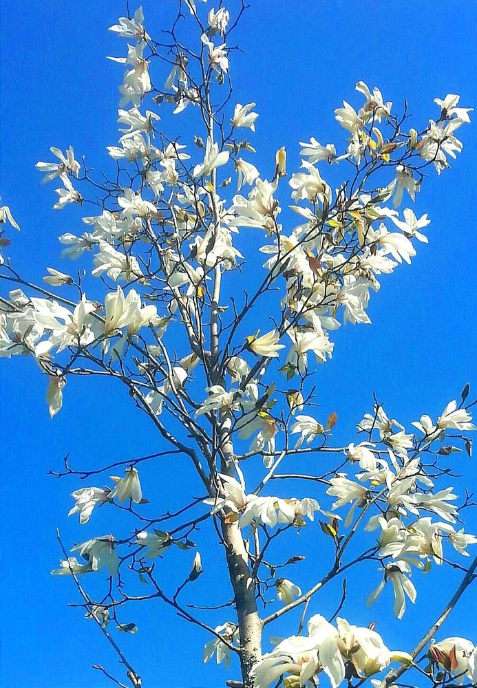 Photograph by Ольга Тихонова