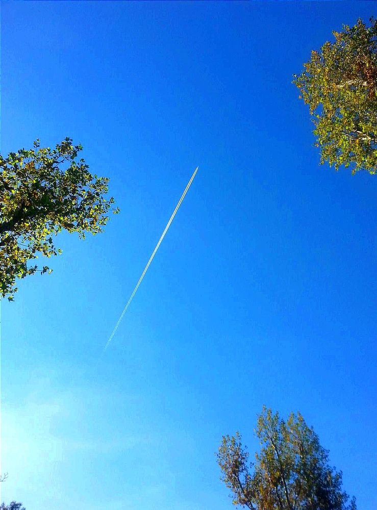 Photograph by Ольга Тихонова