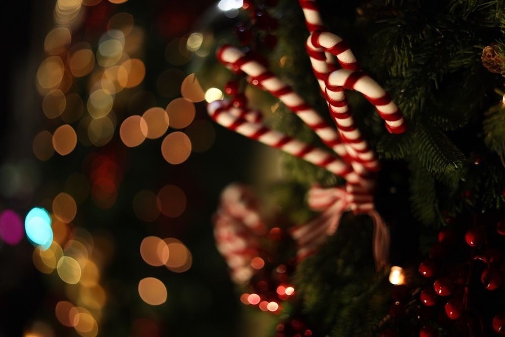 Photograph by Анастасия Ануфриева