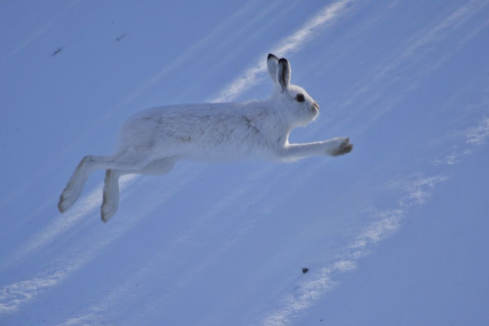 Photograph by Галина Катанова