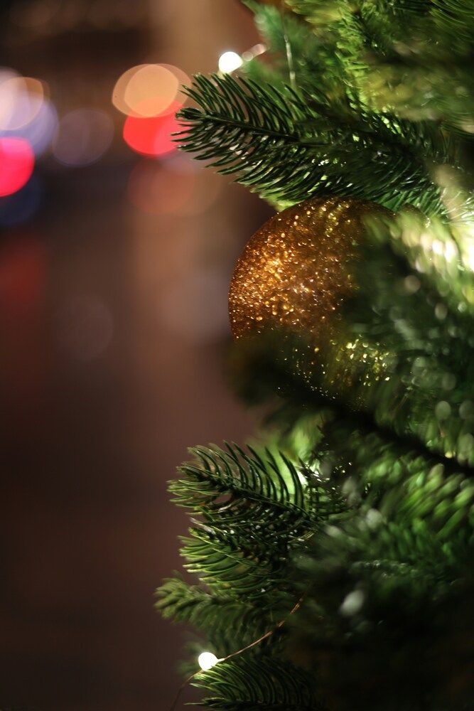 Photograph by Анастасия Ануфриева