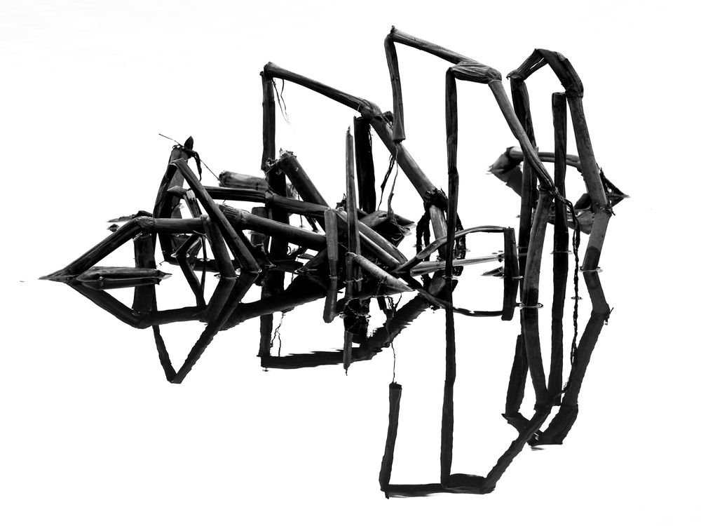 Фотография автора Mariya Belyalova