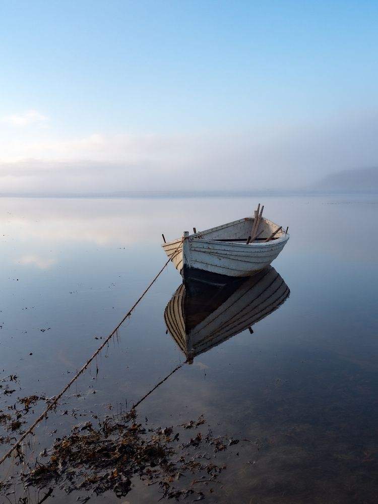 Photograph by Шейко Анна