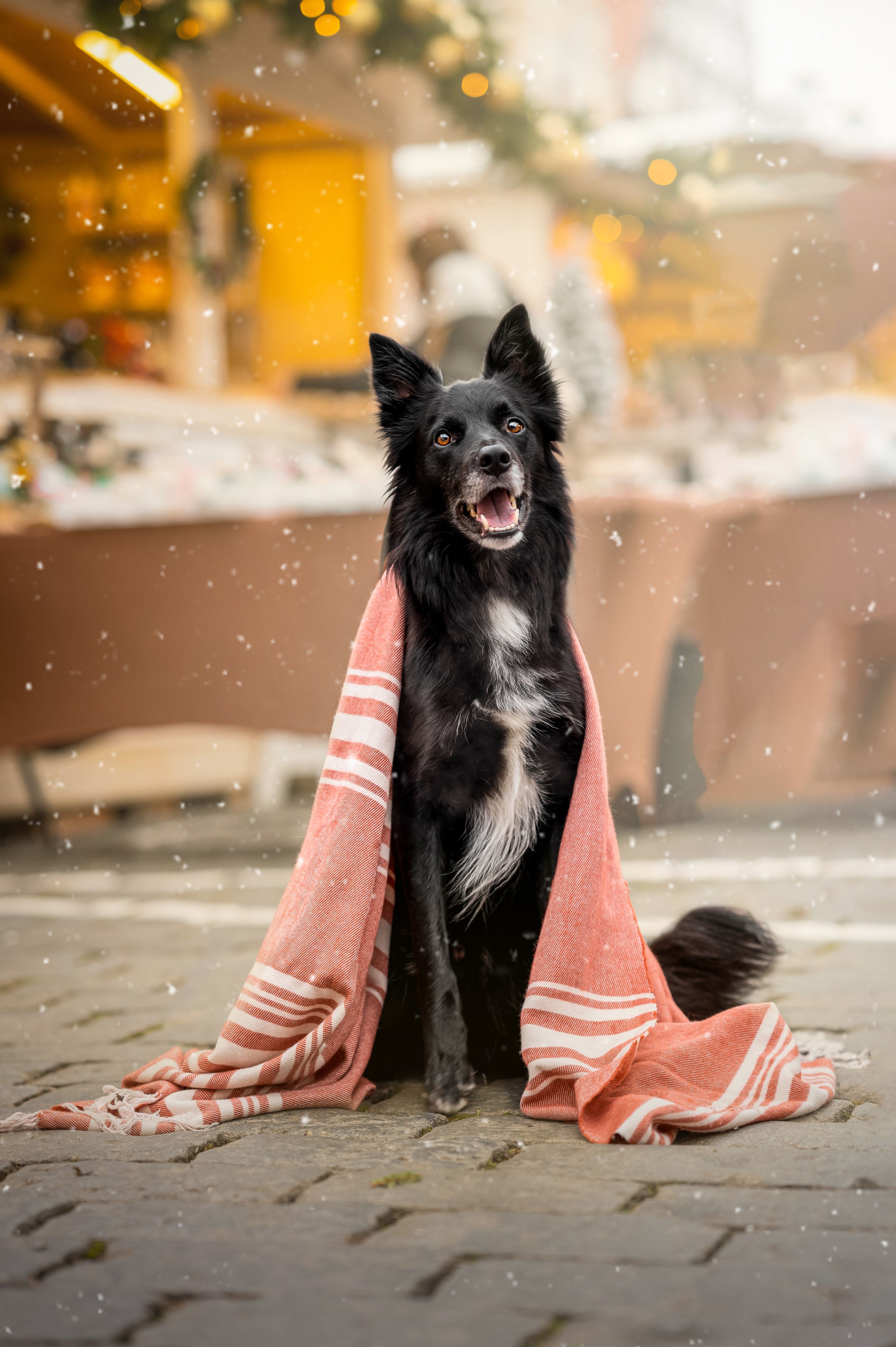 Photograph by Adéla Kovaříková