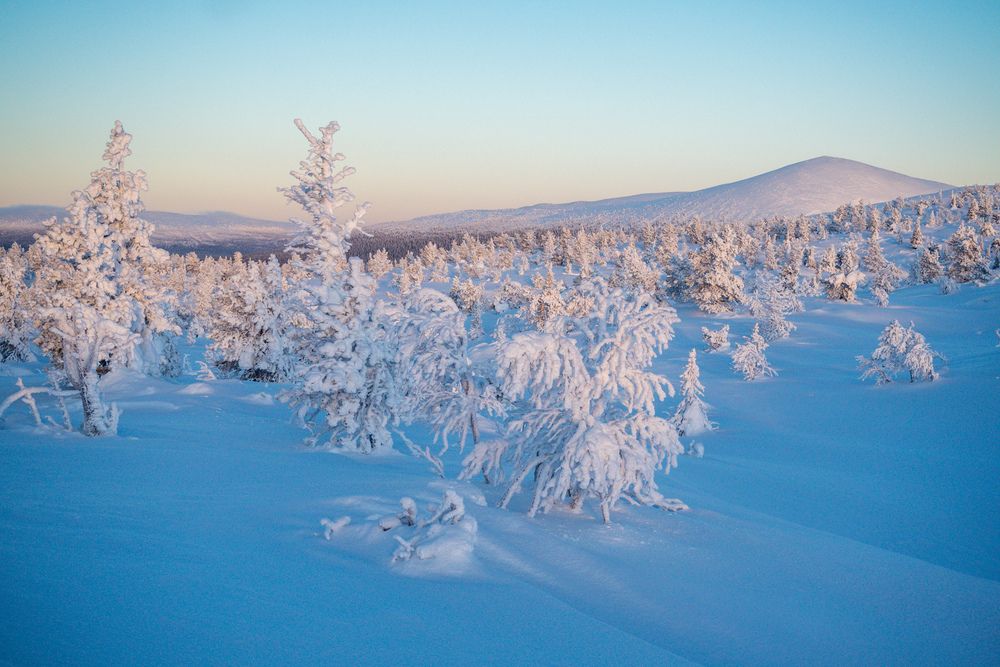 Photograph by Шейко Анна