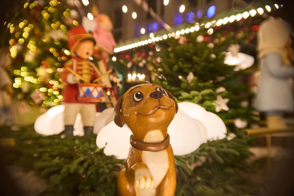 Photograph by Игорь Кад