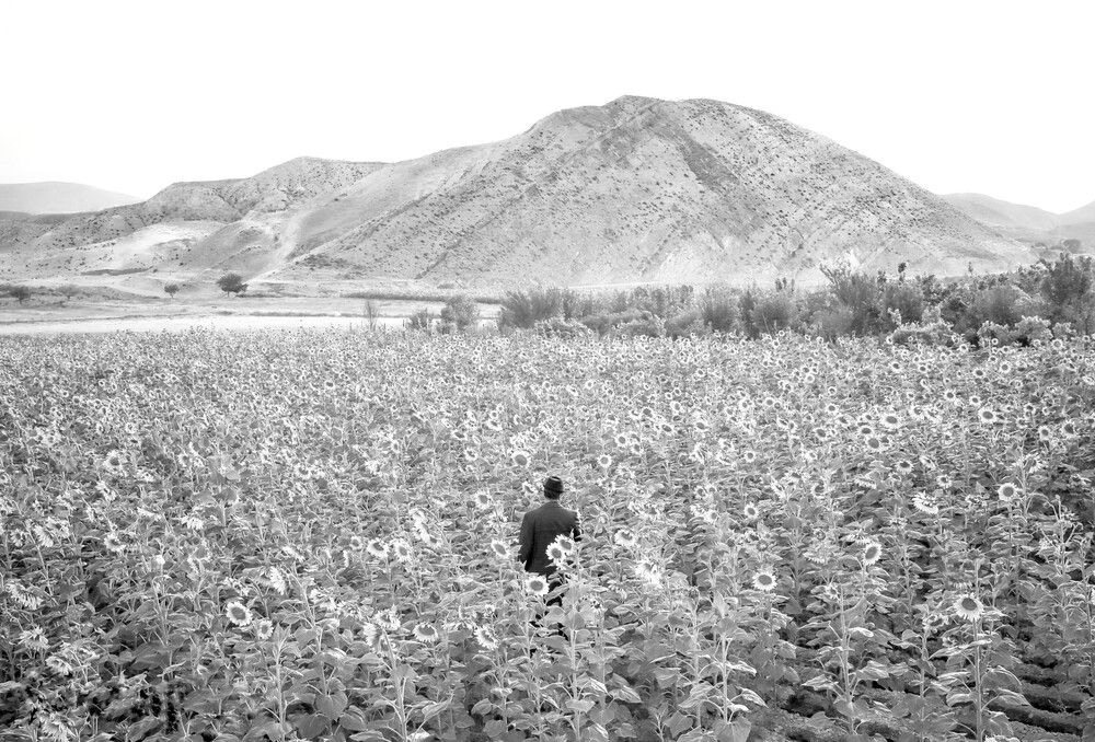 Photograph by Arezoo Arianpour