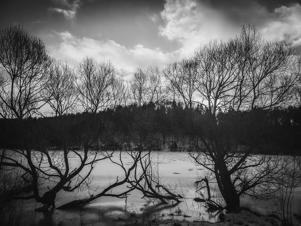 Photograph by Кирилл Сидоров