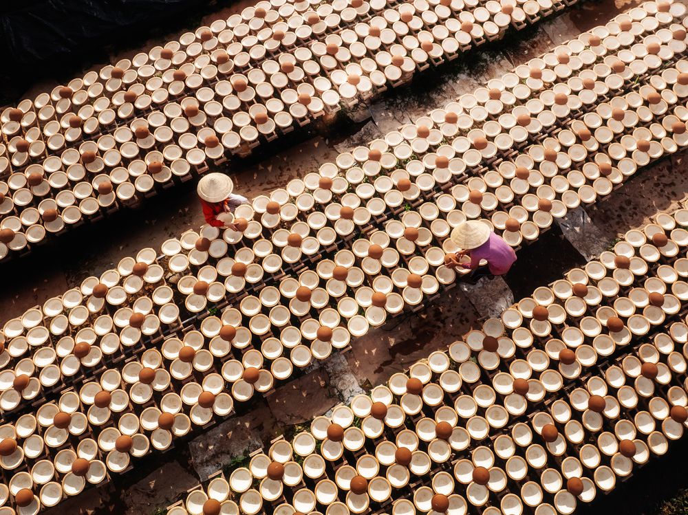 Photograph by Tran Phuong