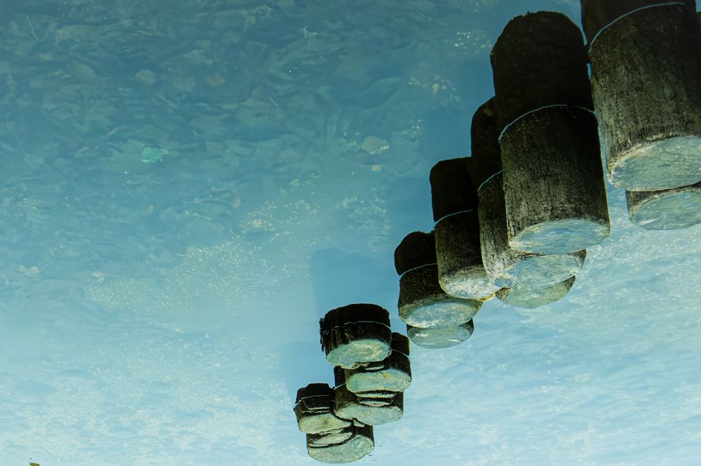 Photograph by Svitlana Zinovieva