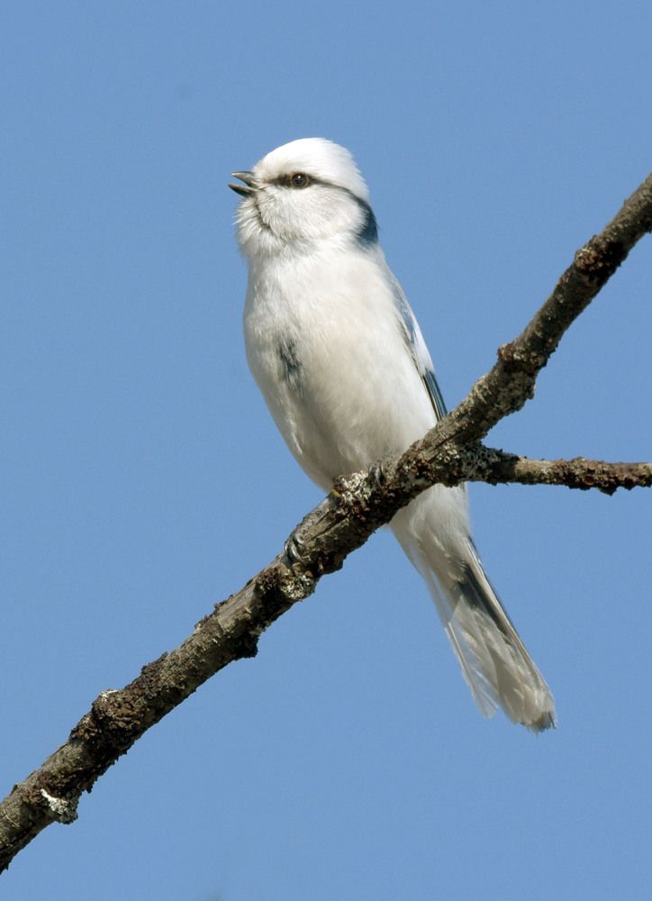 Photograph by Михаил Белоусов