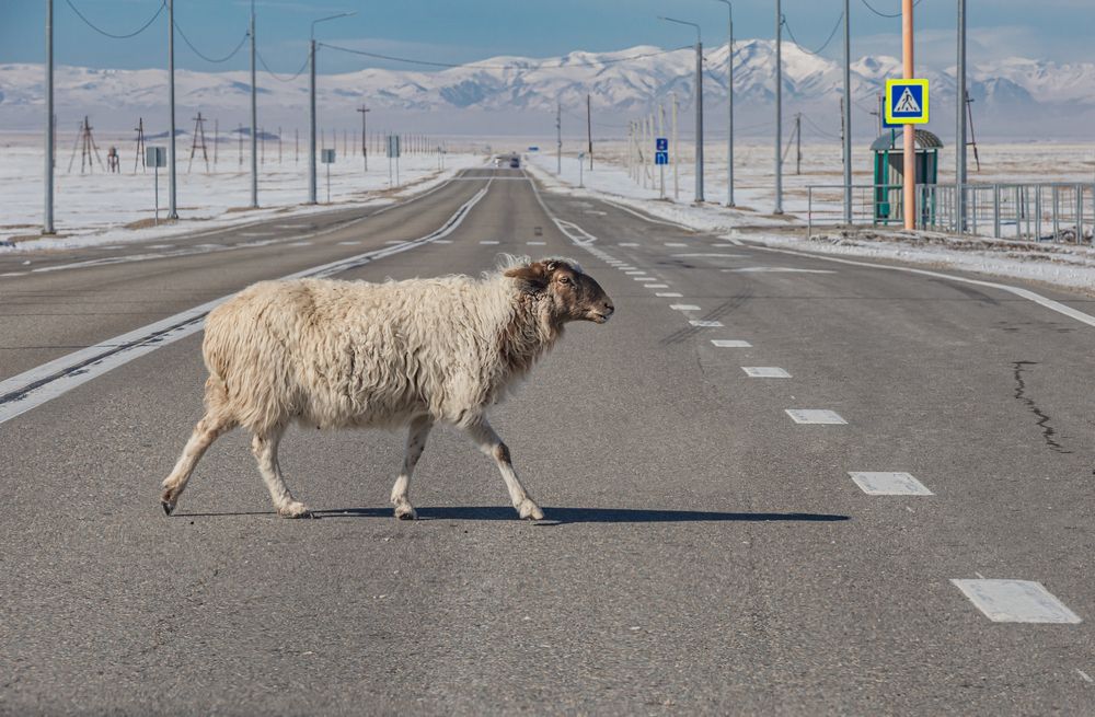 Photograph by Елена Павлова