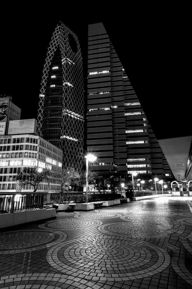 Photograph by wendy klein