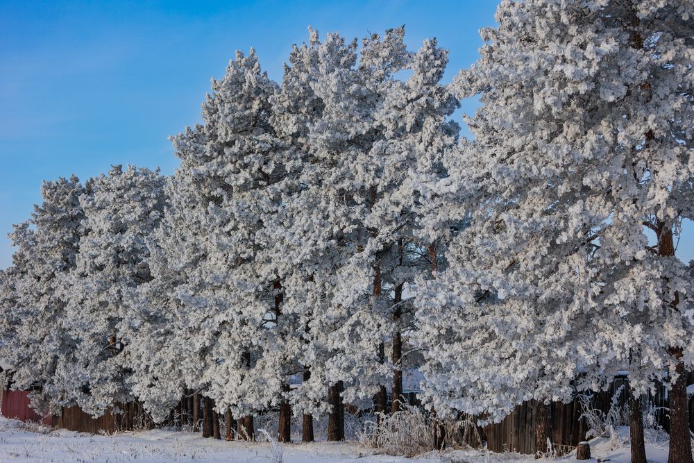 Photograph by Коптелов Виктор