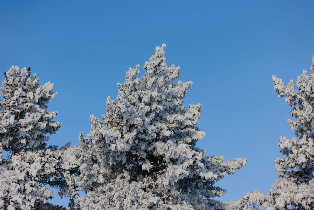 Photograph by Коптелов Виктор