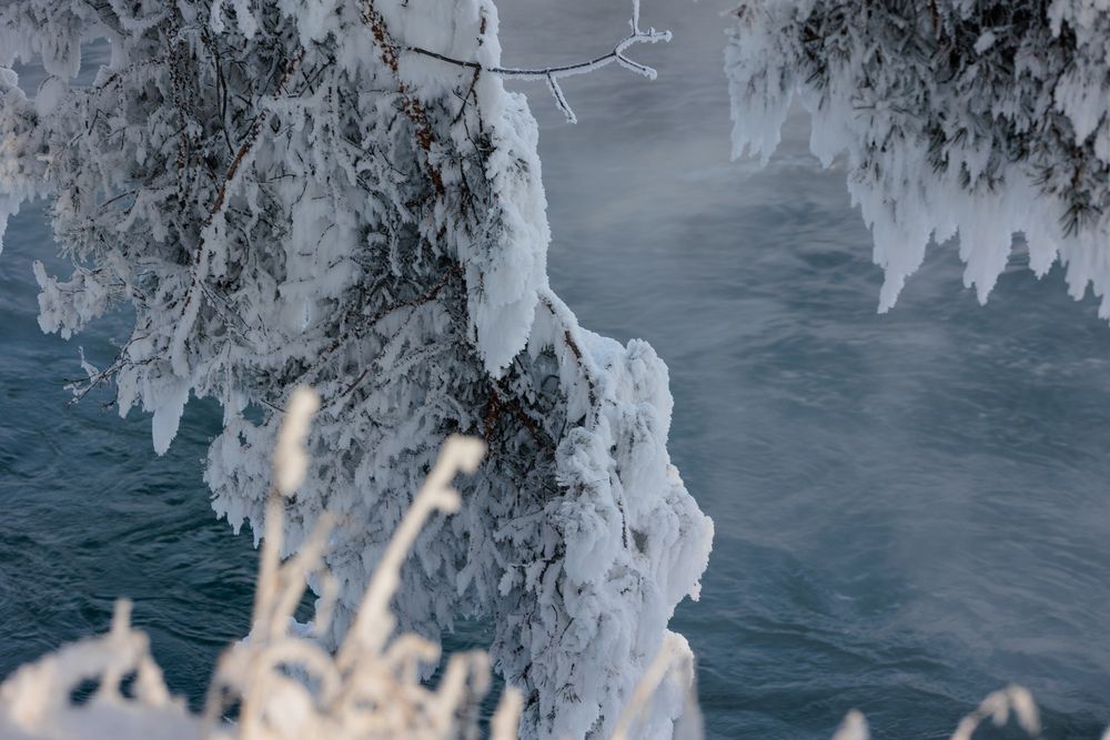 Photograph by Коптелов Виктор