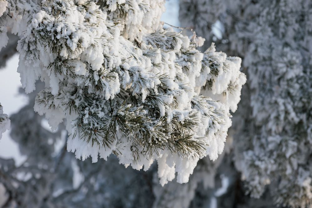 Photograph by Коптелов Виктор