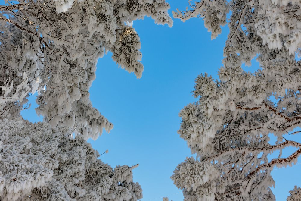 Photograph by Коптелов Виктор