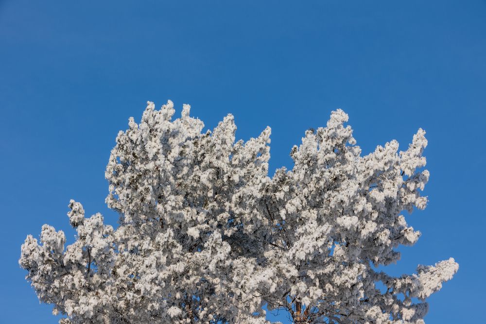 Photograph by Коптелов Виктор