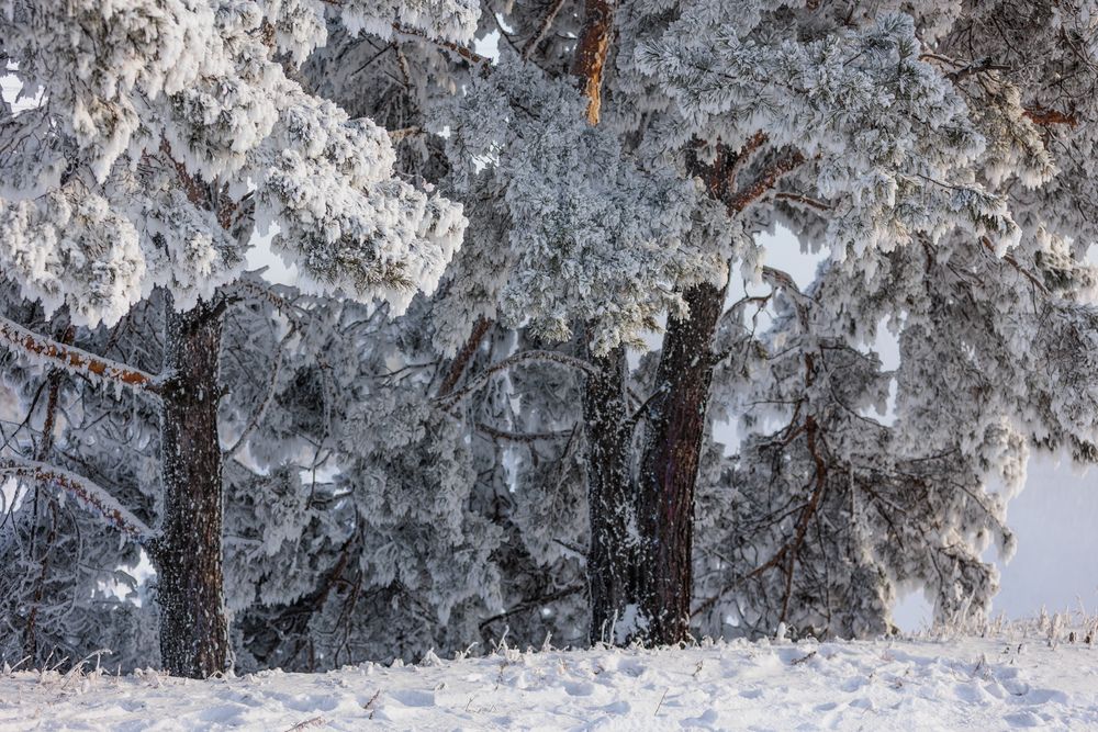 Photograph by Коптелов Виктор