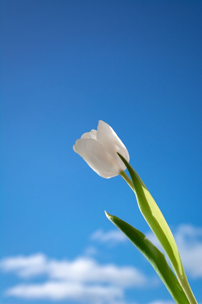 Photograph by Глеб Обуховский