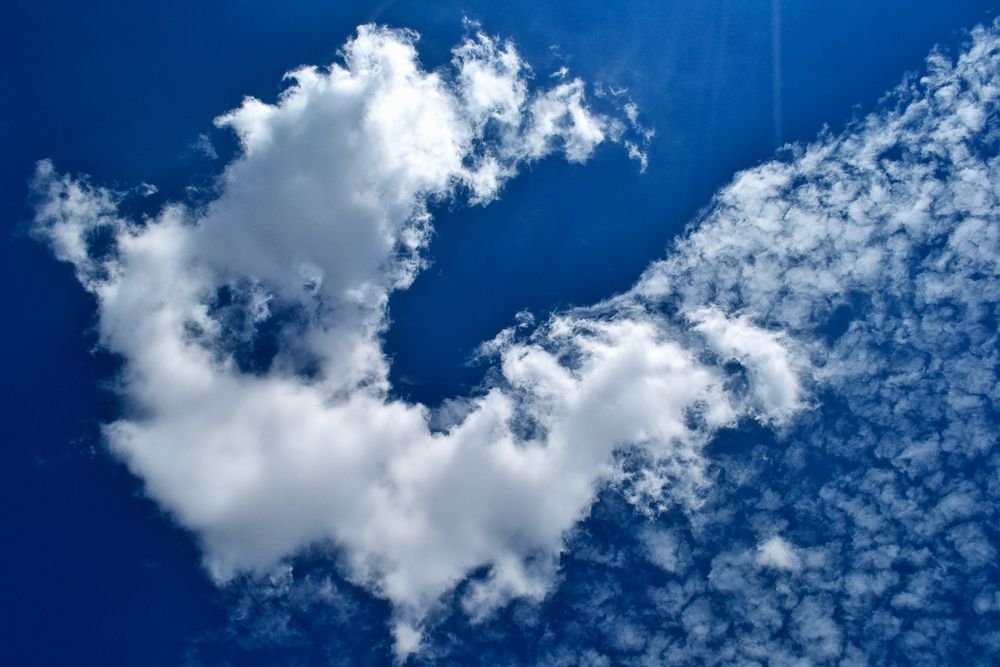 Фотография автора ARY Kördean