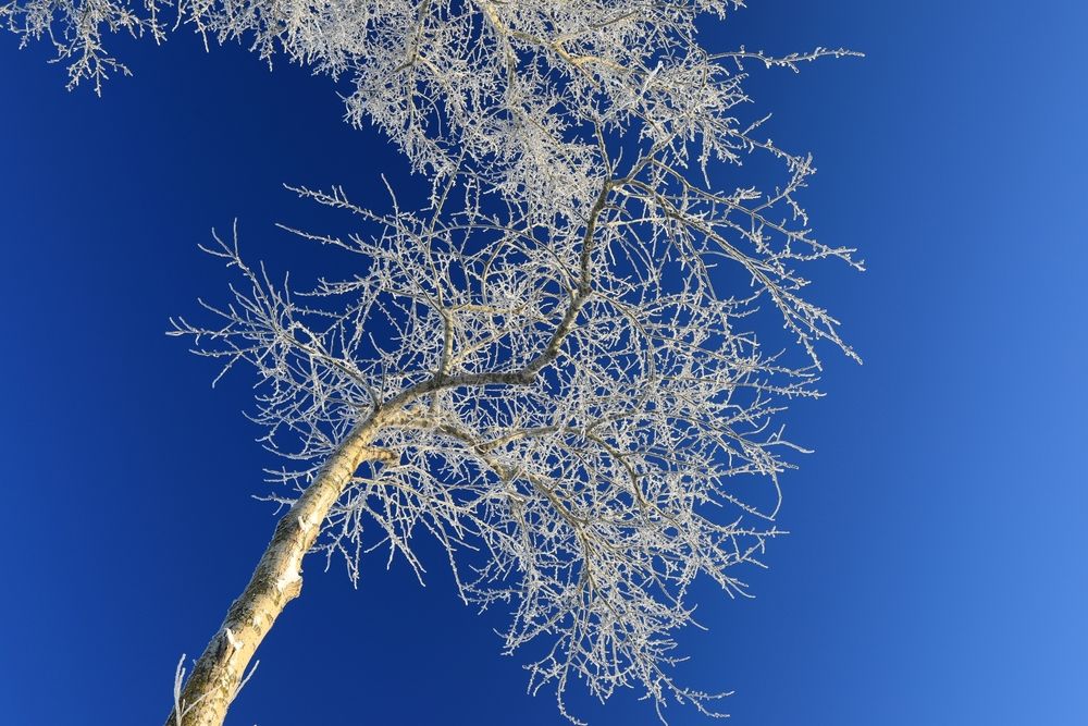 Зимние узоры