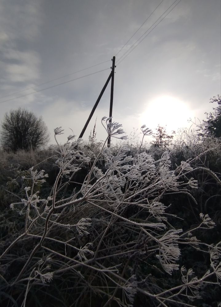 Морозный рассвет