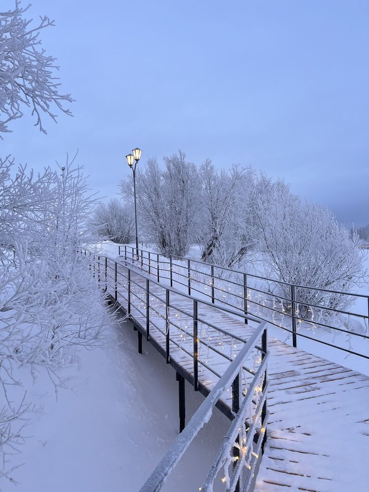 Photograph by Шестакова Елена