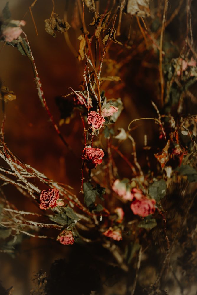 Фотография автора Анна Рыкова