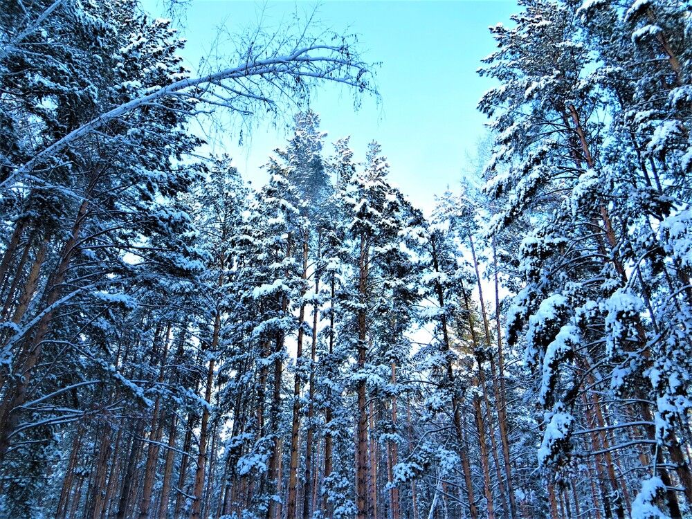 Photograph by Галина