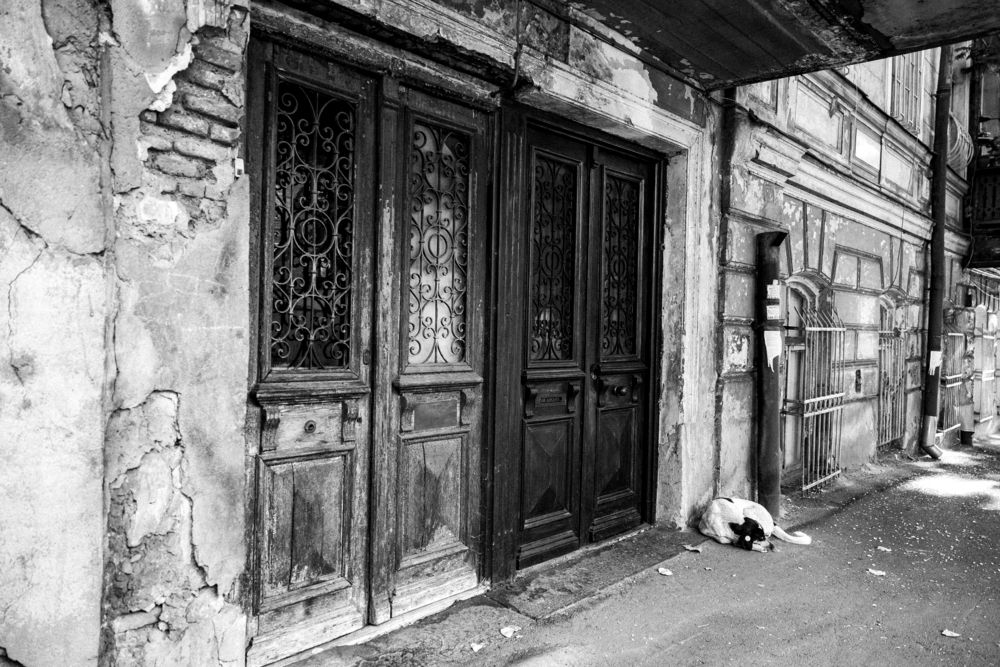 Photograph by Вячеслав Ват