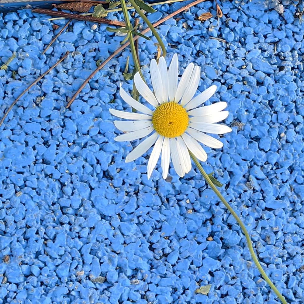 Photograph by Игорь Крыжко