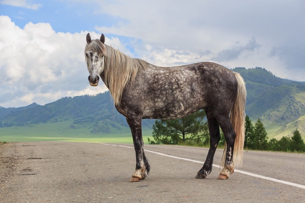 Photograph by виктор ковчин