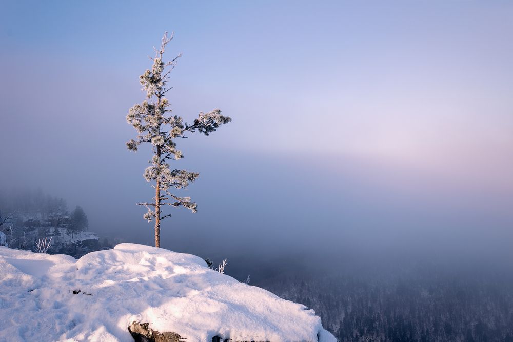 Photograph by Светлана Урманцева