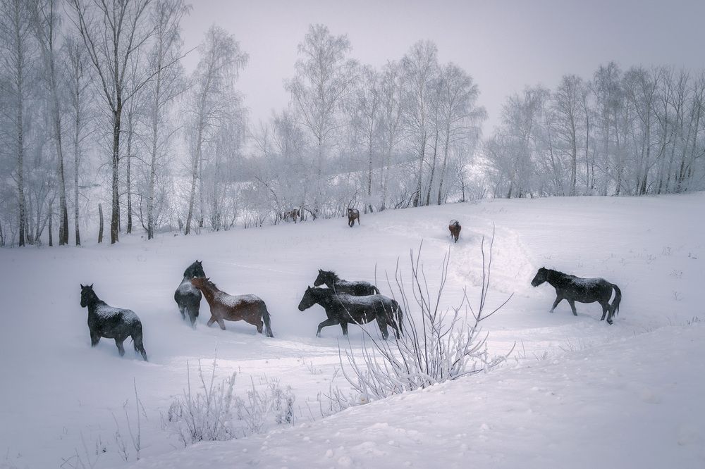 Photograph by Светлана Урманцева