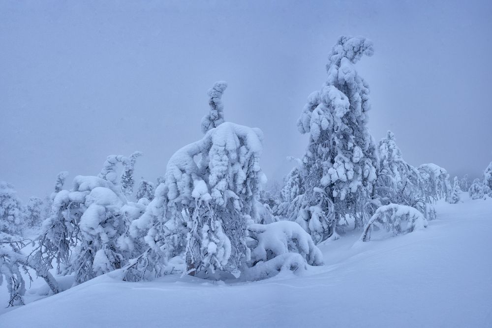 Photograph by Юлия Шестопалова