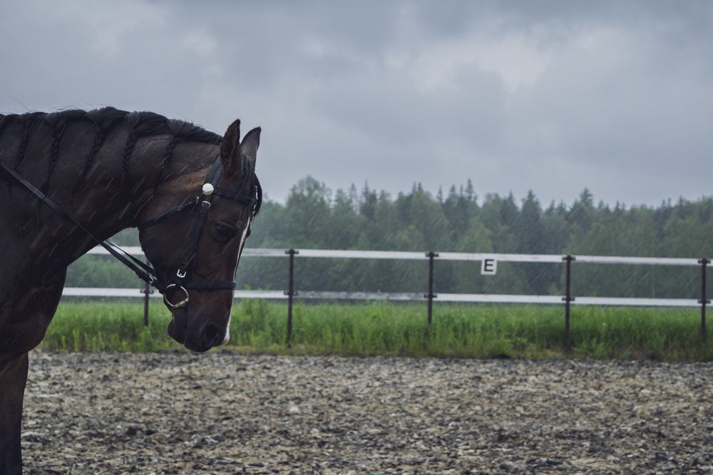 Photograph by Ирина