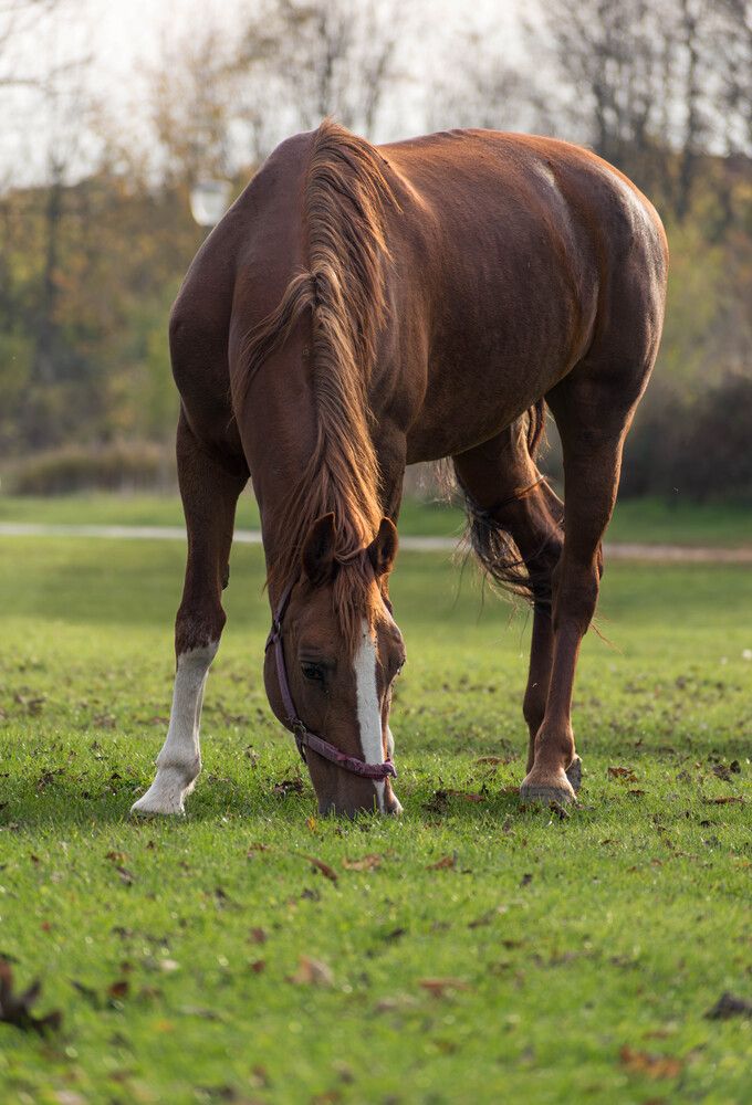 Фотография автора Milan Đorđević