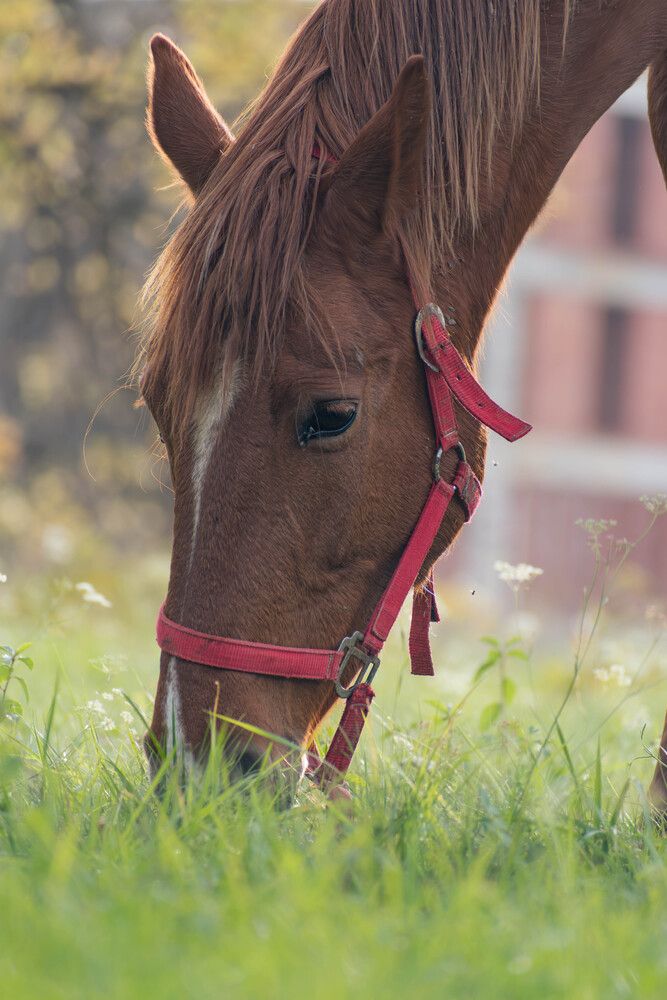 Фотография автора Milan Đorđević