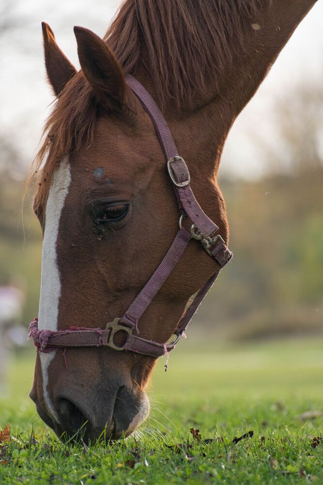 Фотография автора Milan Đorđević