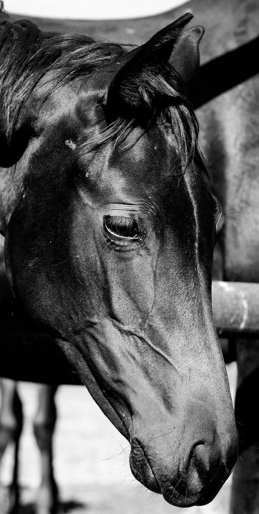 Photograph by Андрей Безгин