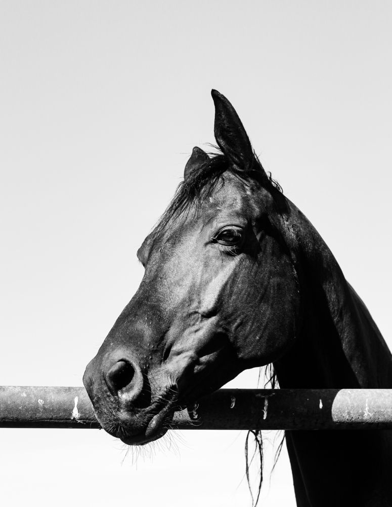 Photograph by Андрей Безгин