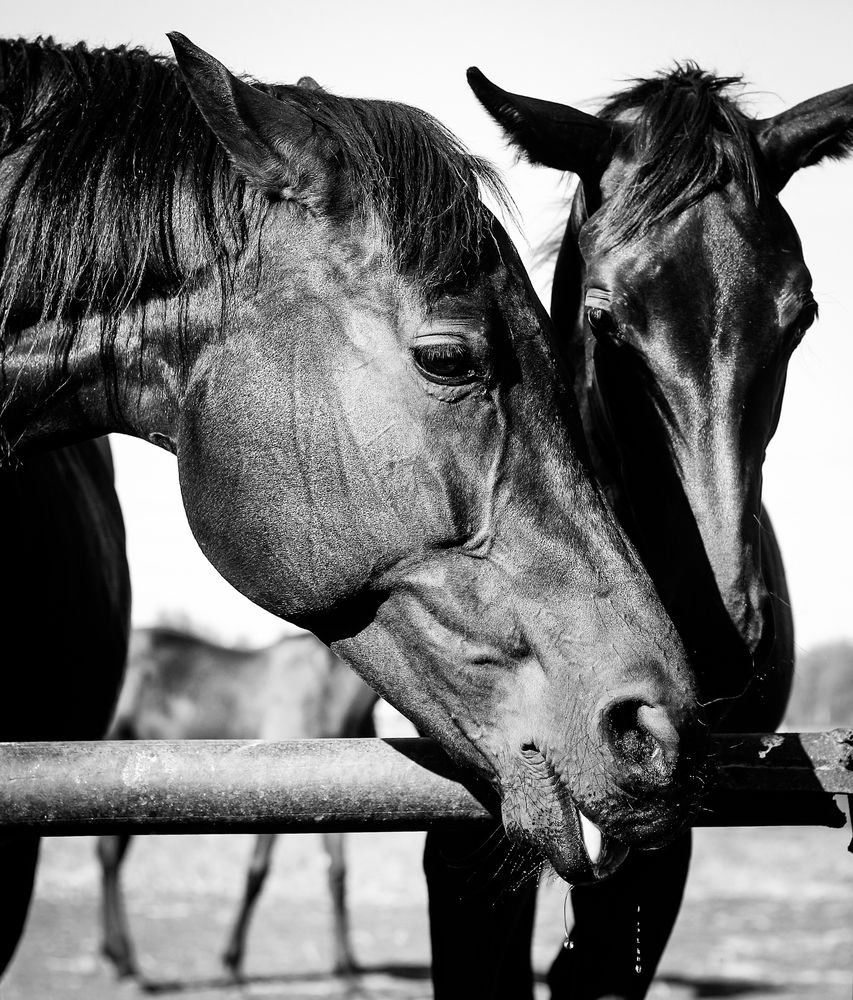 Photograph by Андрей Безгин