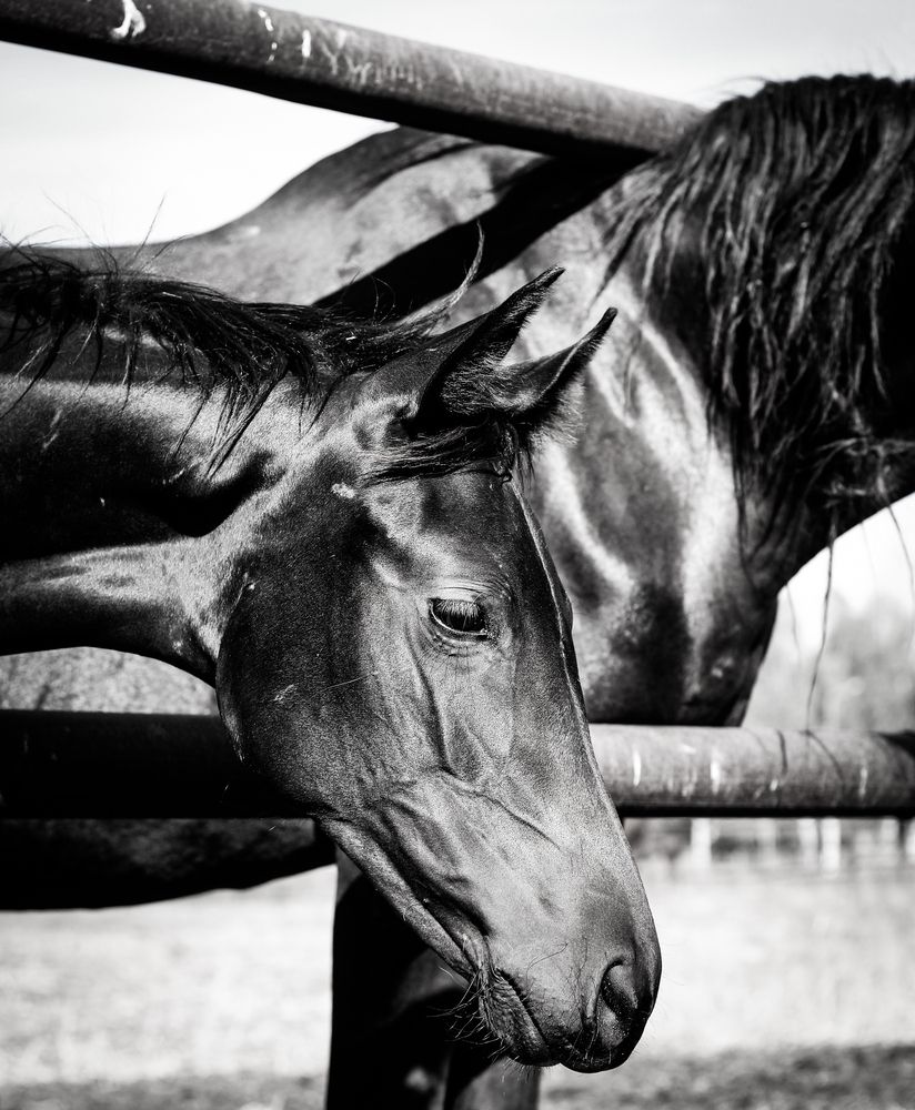 Photograph by Андрей Безгин