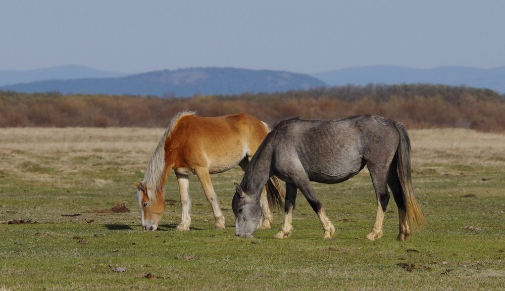 Photograph by Андрей Корытов