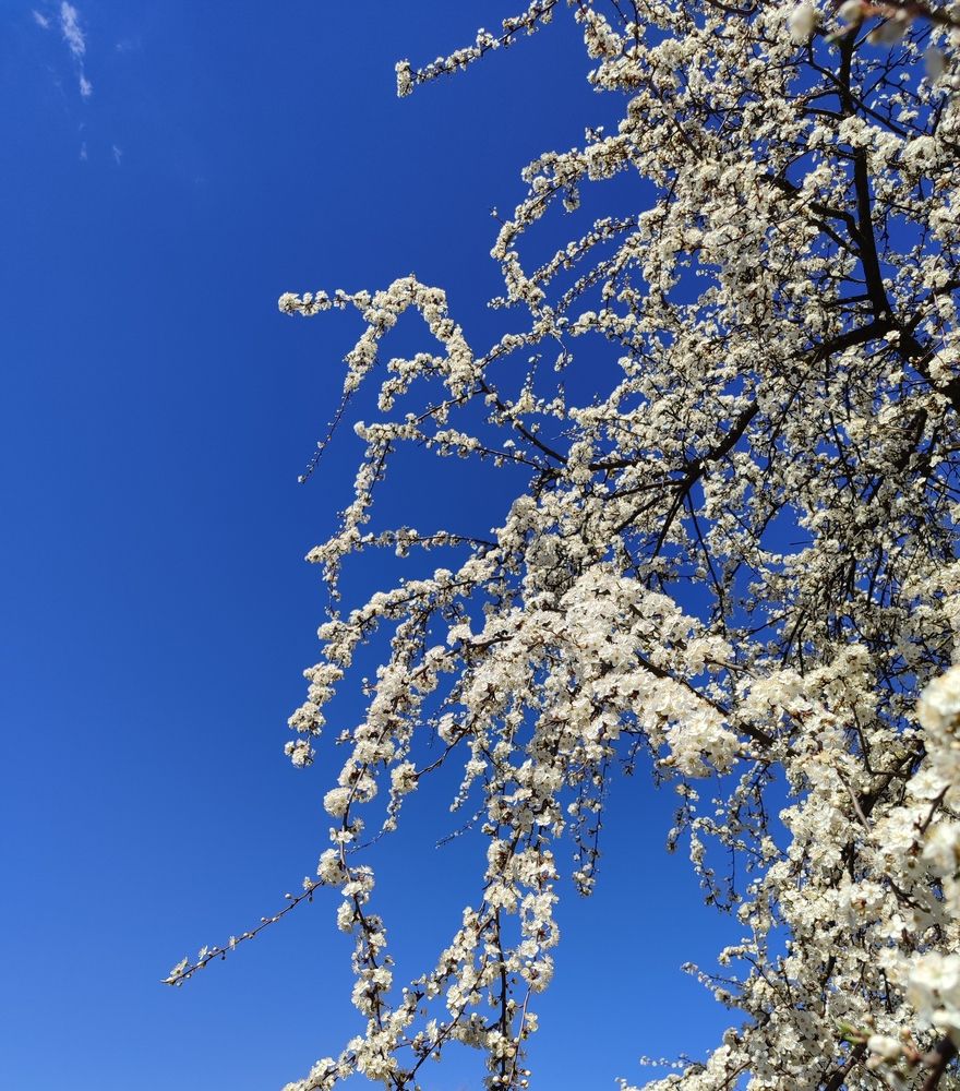 Photograph by Ирина Половцева