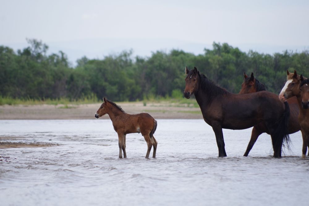 Photograph by Андрей Корытов