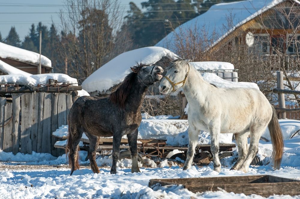 Фотография автора  Валерий